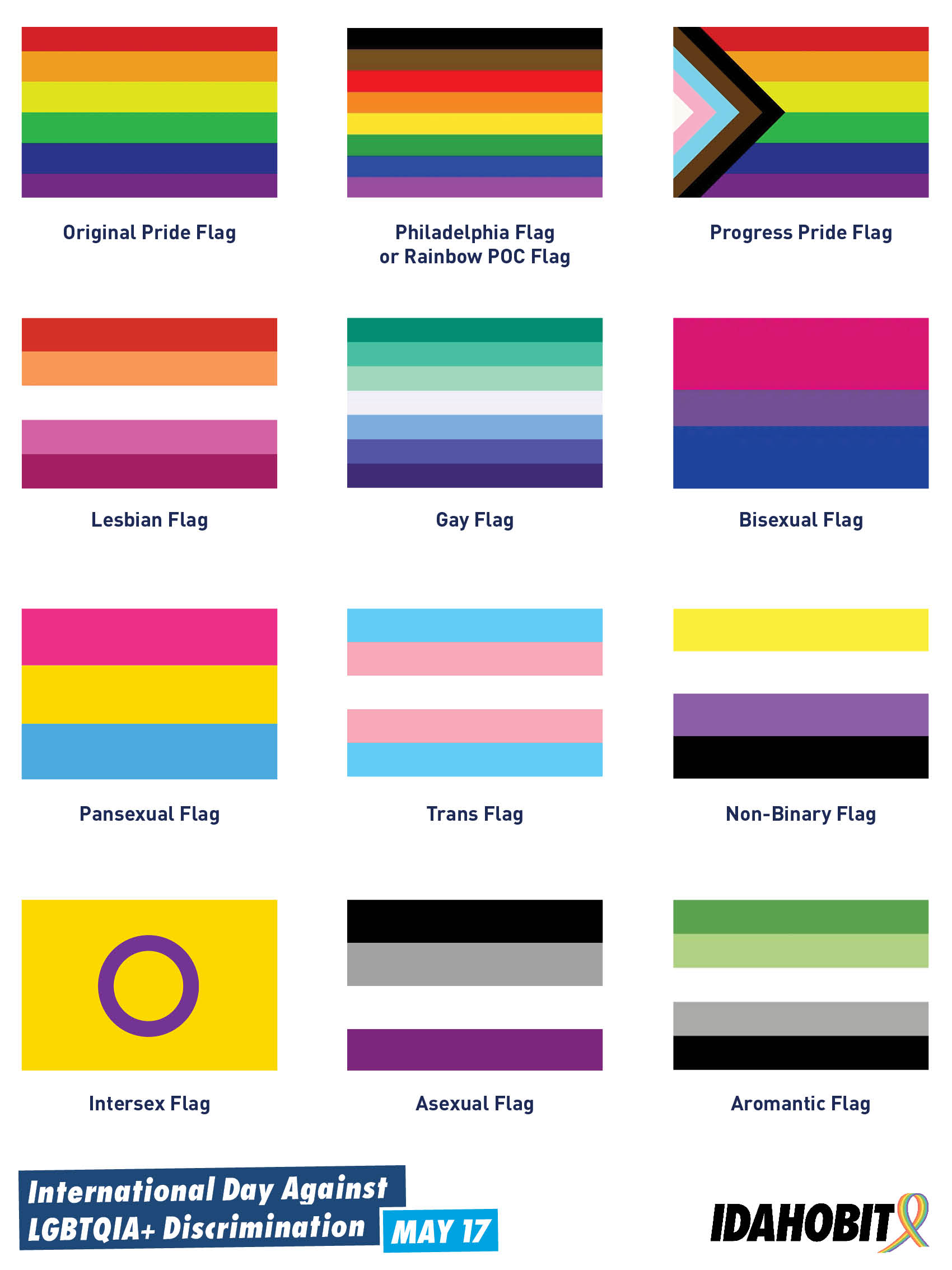 Which Pride Flag Should I Use Idahobit